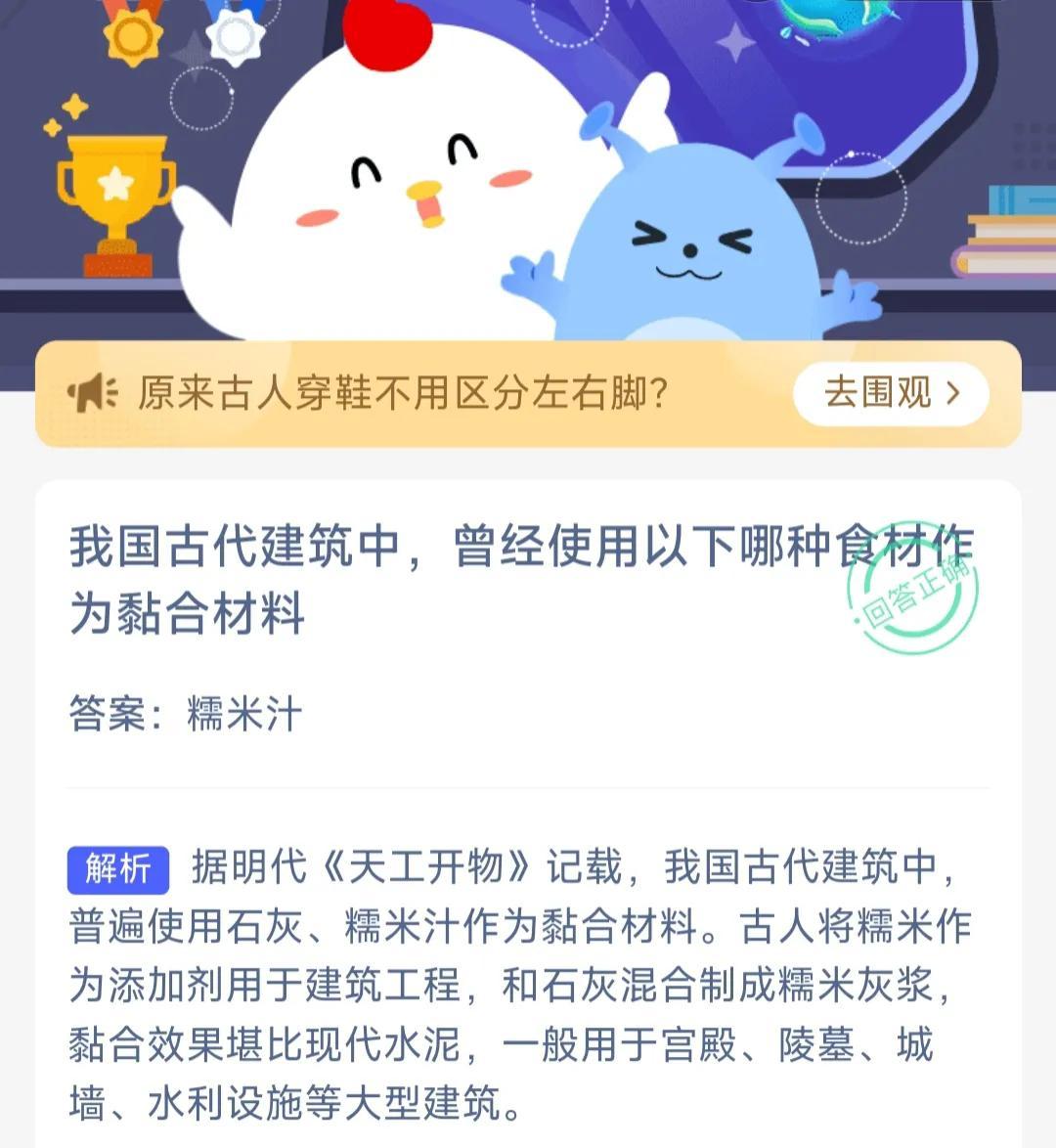 蚂蚁新村今日答案最新,蚂蚁新村今日答案最新，探索与发现的新篇章