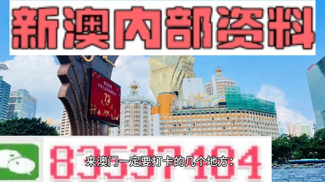 新粤门六舍彩资料免费,新粤门六舍彩资料免费，探索与解析