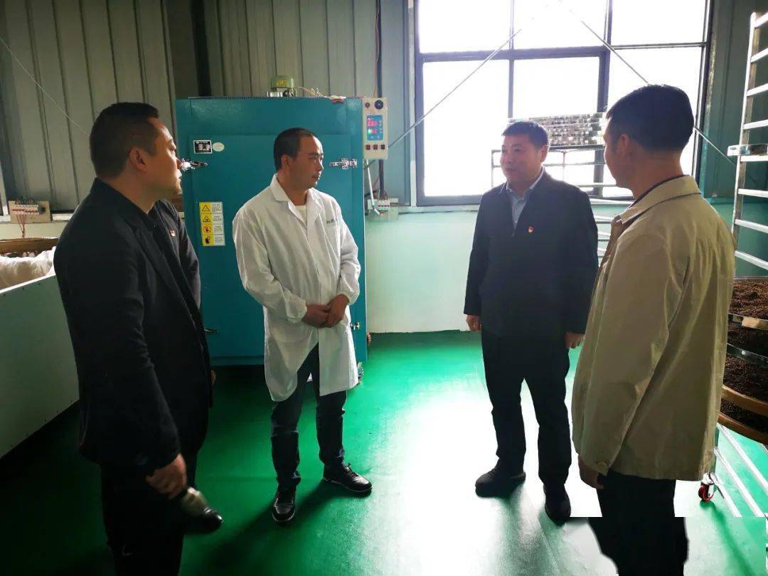 澳门4949开奖现场直播 开,澳门4949开奖现场直播，背后的真相与警示