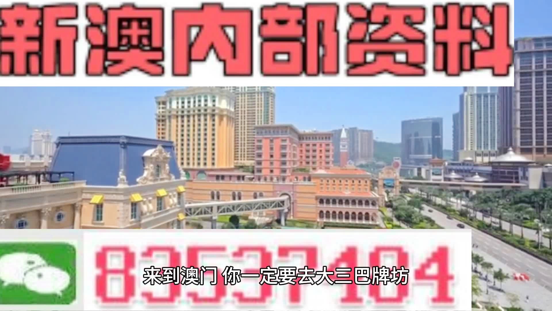 新澳2024年精准一肖一码,新澳2024年精准一肖一码，预测背后的故事与探索