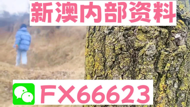 全车改装套件 第139页
