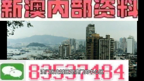 新澳门今晚精准一肖,警惕新澳门精准一肖背后的风险与犯罪问题
