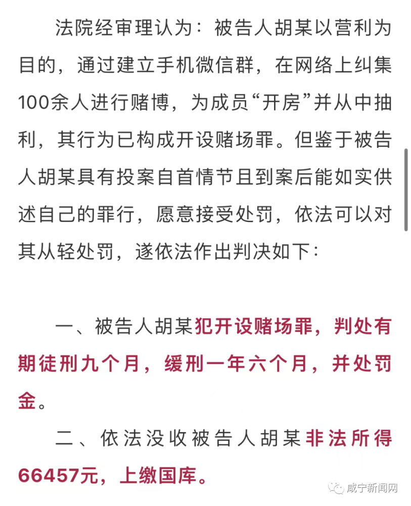 澳门正版资料彩霸王版,澳门正版资料彩霸王版，揭示违法犯罪问题的重要性