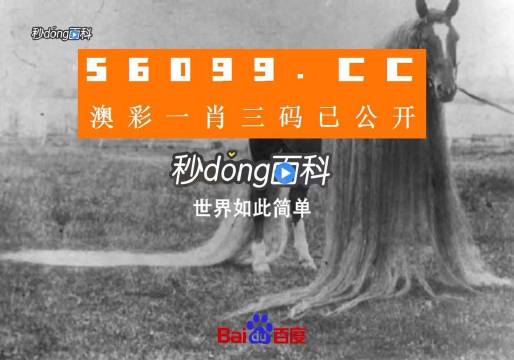 一肖一码一必中一肖,一肖一码一必中背后的犯罪问题