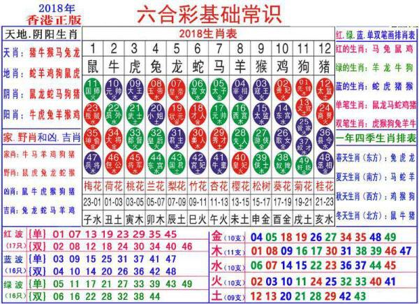 2024澳门正版资料大全资料生肖卡,探索澳门正版资料大全与生肖卡的奥秘