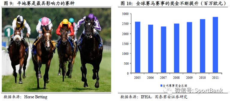 2024今晚香港开特马开什么,探索未知，今晚香港特马开什么？