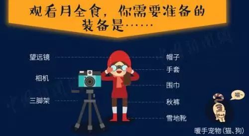 今晚必中一码一肖澳门,今晚必中一码一肖澳门——警惕网络赌博的陷阱