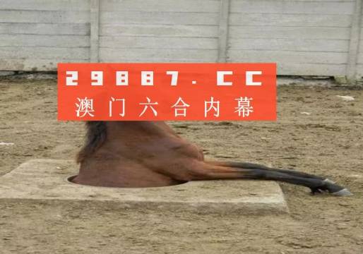 993994www跑狗玄机,揭秘993994WWW跑狗玄机，探寻背后的真相与秘密