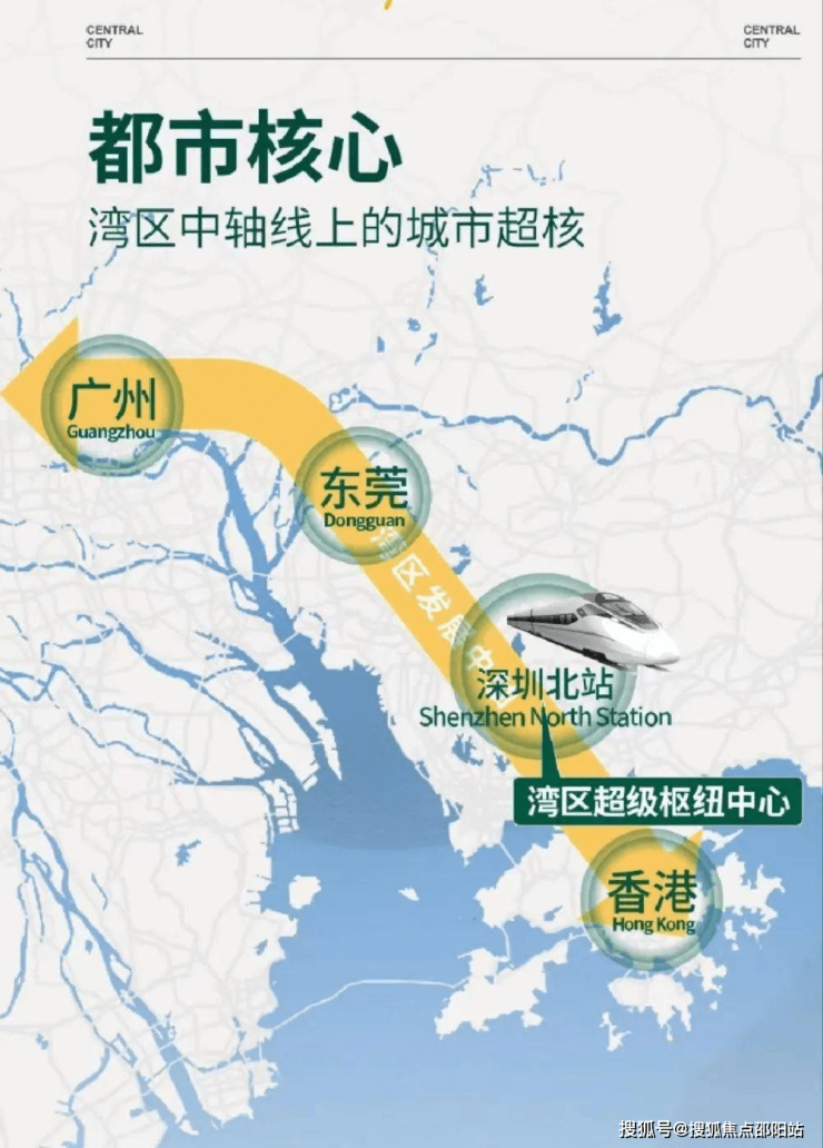 2024年新跑狗图最新版,揭秘新跑狗图最新版，探索未来的跑狗世界（附详细指南）