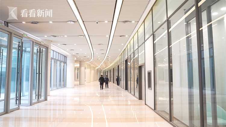 新奥门特免费资料大全火凤凰,新澳门特免费资料大全火凤凰，探索奥秘与价值的交汇点