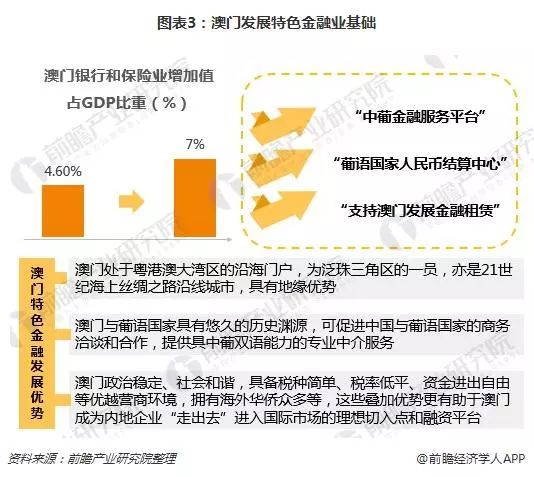 澳门平特一肖100%准资点评,澳门平特一肖，深度解析与精准点评