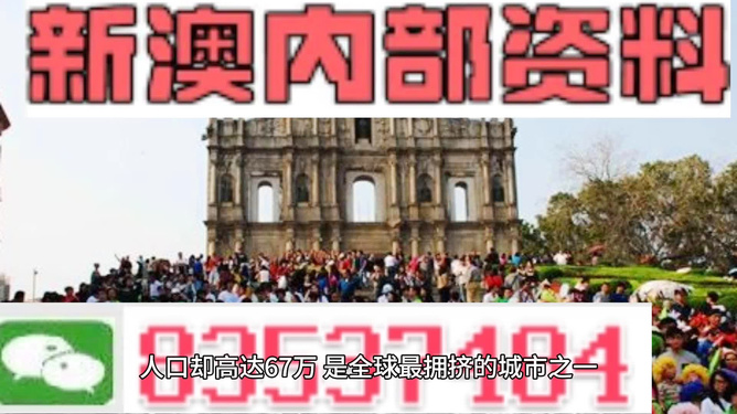 精准一肖100%今天澳门,精准一肖揭秘，探索澳门今天的幸运之波