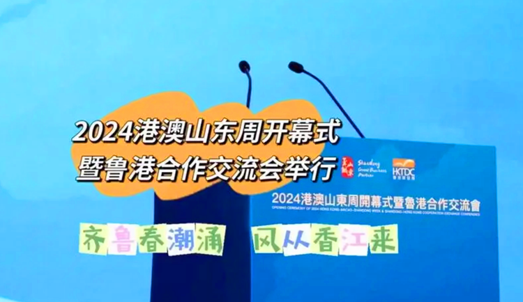 2024新澳资料免费精准051,揭秘2024新澳资料免费精准，深度解析与独到见解（附详细指南）