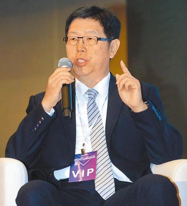2024十二生肖49码表,揭秘2024十二生肖与数字彩票的奥秘，十二生肖49码表全解析