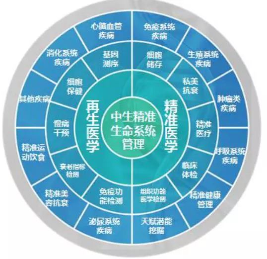 新奥精准免费资料提供,新奥精准免费资料提供，助力企业高效决策与发展