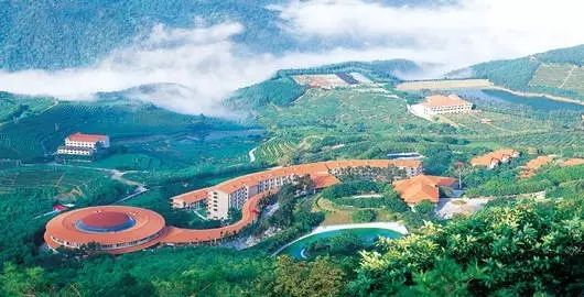 广东省旅游攻略自助游,广东省旅游攻略，自助游者的绝佳选择