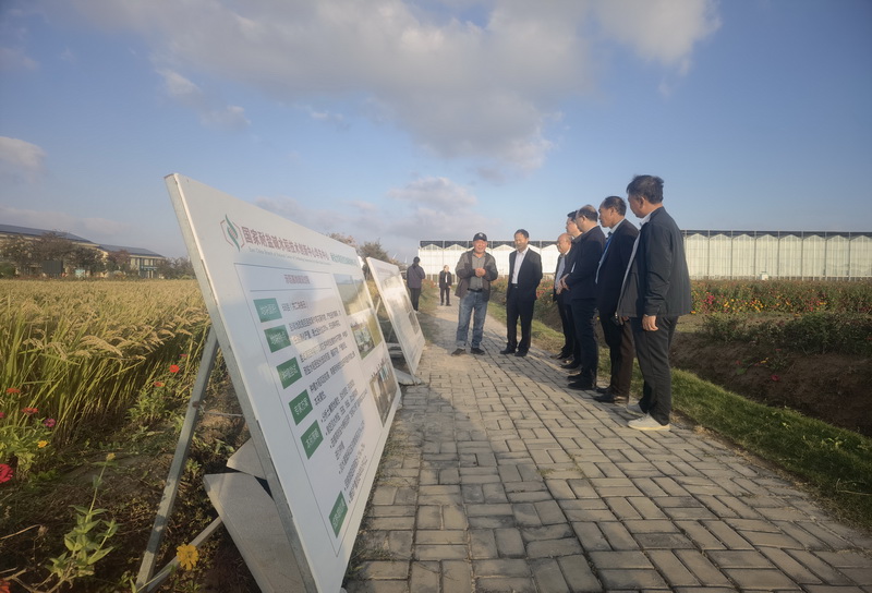 江苏科技肥料,江苏科技肥料，引领农业科技创新，助力农业现代化