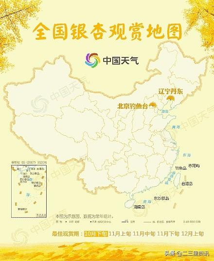 全车改装套件 第55页