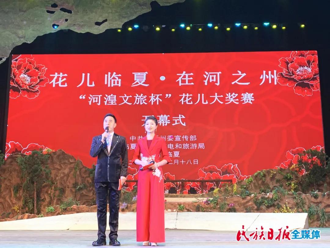 台山市剧团最新招聘信息,台山市剧团最新招聘信息及职业机会探讨