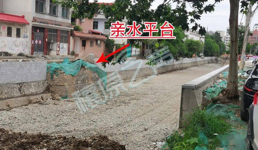 第二原种场最新新闻,第二原种场最新新闻报道