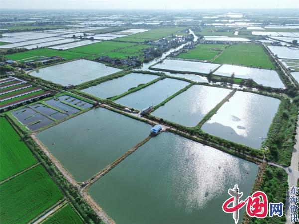 东海县财政局最新领导,东海县财政局最新领导及其领导下的财政改革与发展