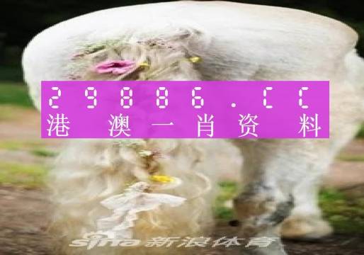 澳门必中一肖一码四不像,方案优化实施_游玩版71.243