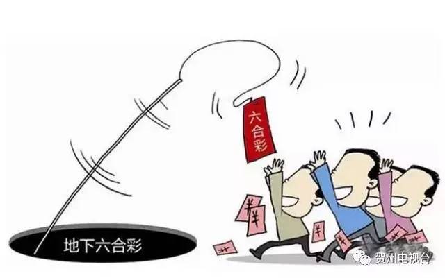 澳门六合资料,高速应对逻辑_知晓版57.427