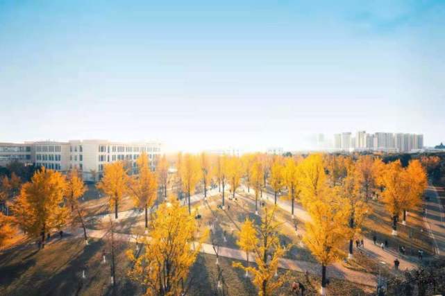 2024新奥天天免费资料53期,科学分析严谨解释_更新版40.592