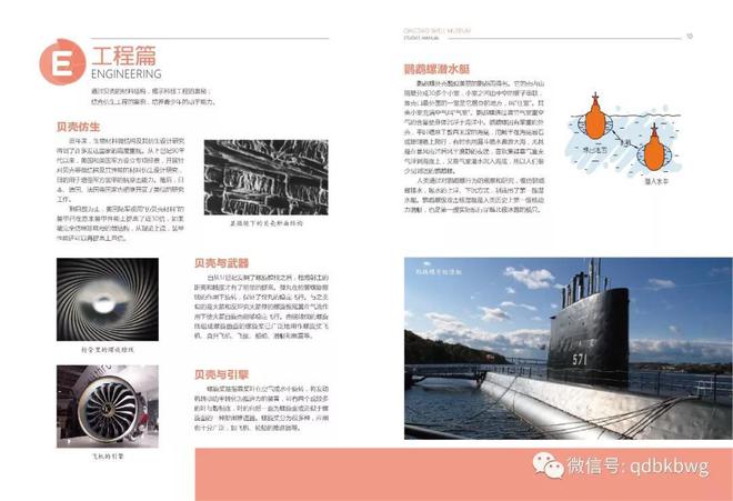 新澳天天开奖资料大全1050期,生物学_美学版59.990