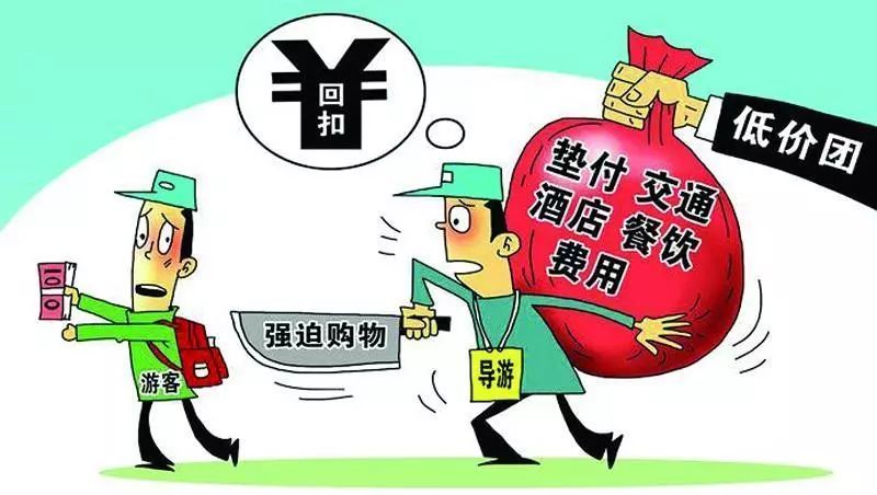 澳门最精准免费资料大全旅游团,社会承担实践战略_动感版56.516