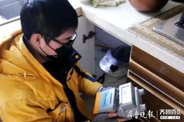 新奥天天精准资料大全,高速响应计划执行_清晰版45.264