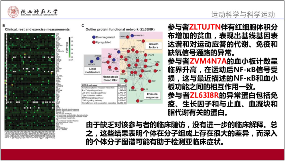 2024香港正版资料大全视频,全面性解释说明_互动版28.231