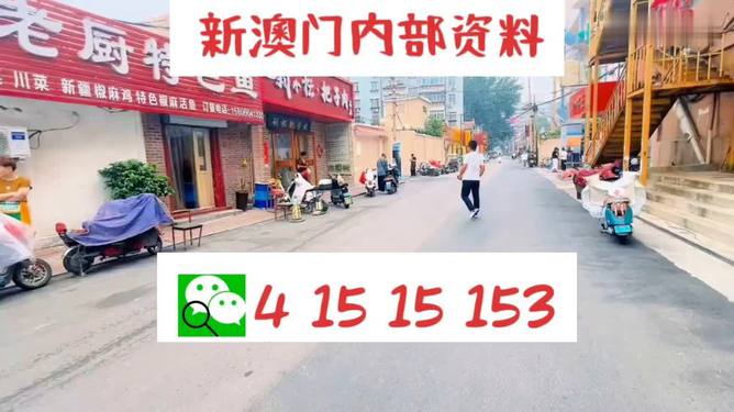 2024新澳门天天开好彩,深入探讨方案策略_限量版18.953