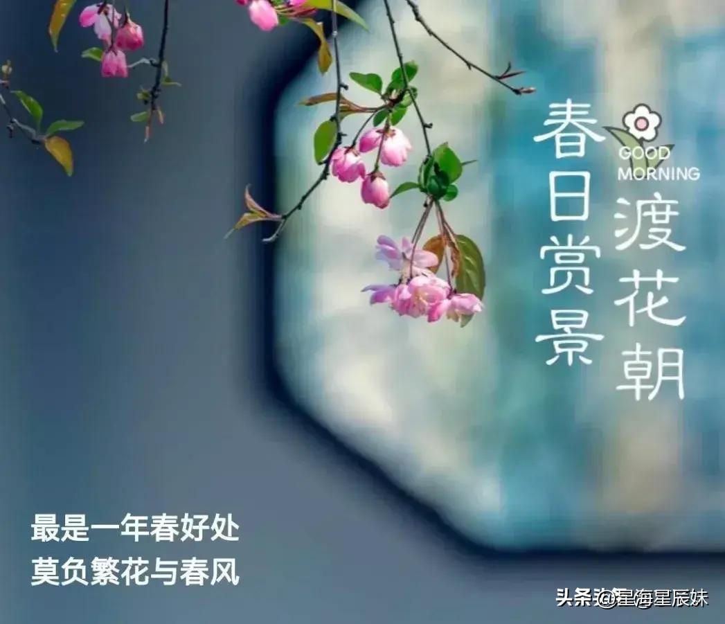 2024年天天彩资料免费大全,精细化实施分析_娱乐版65.619