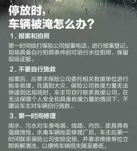 2024正版今晚开特马,专业解读操行解决_媒体版34.665