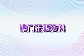 新澳门最精准正最精准正版资料,数据解析引导_交互版49.463