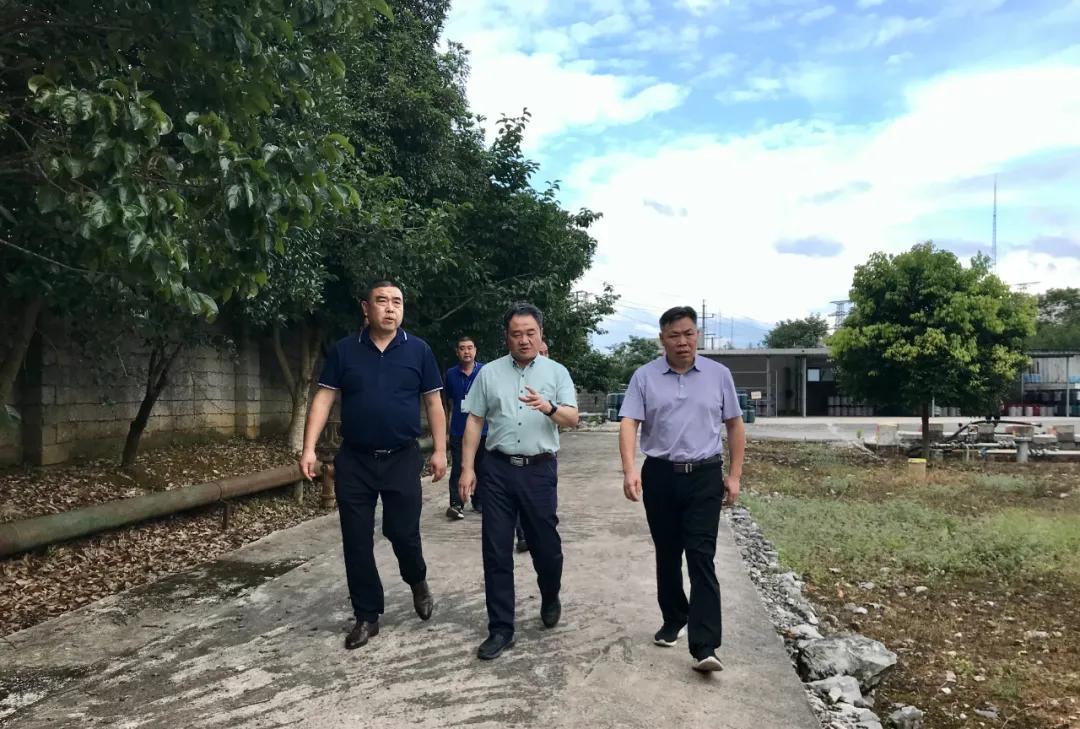 新奥今天内部资料_业务释义解释落实,新奥今天内部资料，业务释义解释落实的重要性与策略