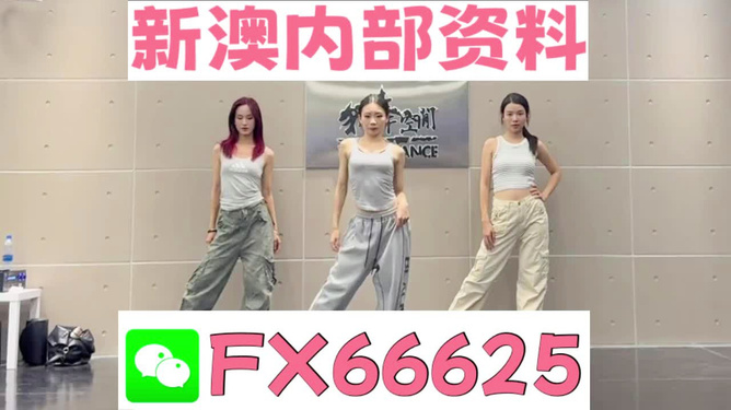 管家婆一码中一肖|教训释义解释落实,探索管家婆一码中一肖背后的故事，教训、释义与落实的重要性