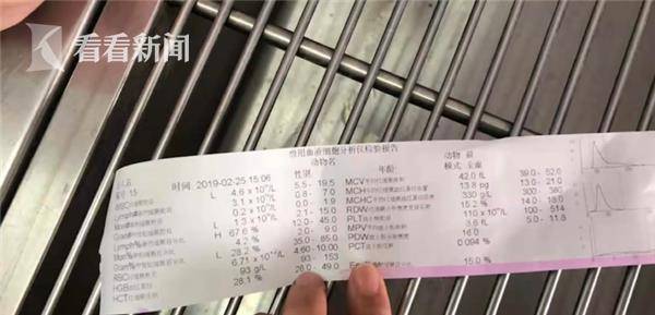 二四六天好彩944cc246天好资料|因材释义解释落实,二四六天好彩与944cc246天好资料，因材释义、解释与落实