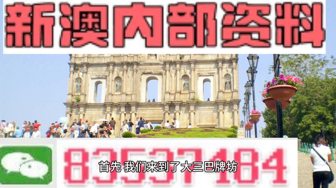 新澳门资料全年免费精准|学院释义解释落实,新澳门资料全年免费精准与学院释义解释落实，探讨背后的风险与挑战