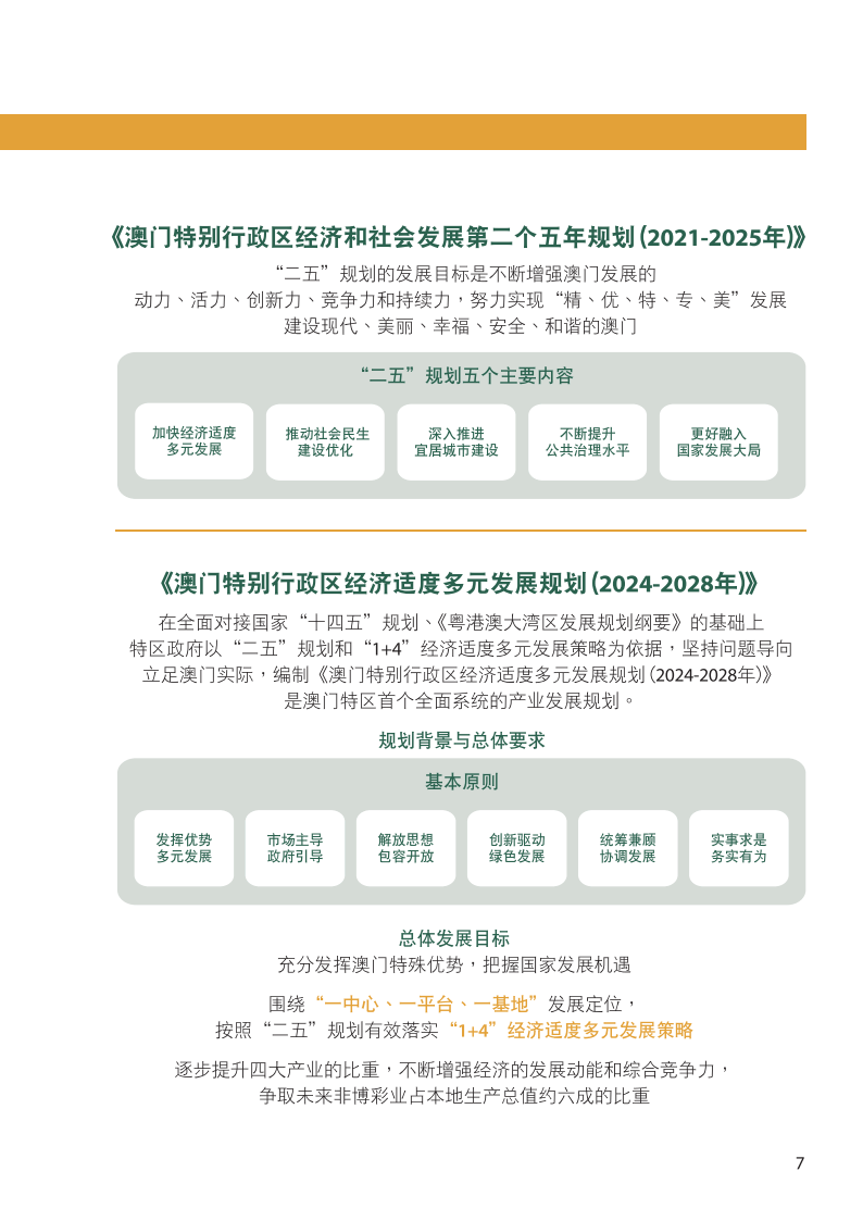 2024年新澳门开奖结果查询|力量释义解释落实,2024年新澳门开奖结果查询与力量的释义，解释与落实