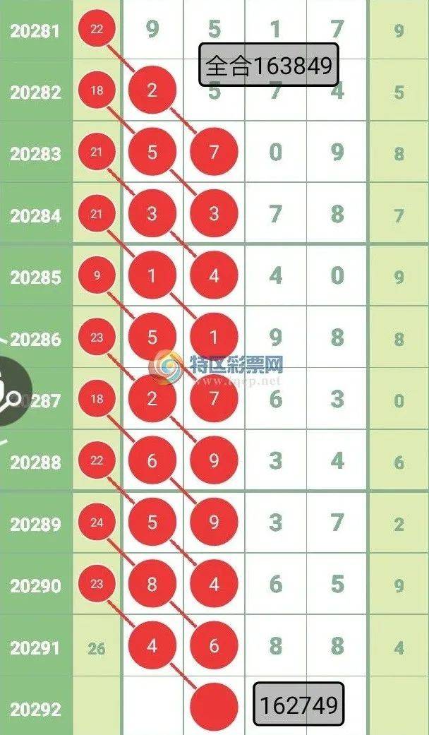 今晚必中一肖一码四不像|讨论释义解释落实,今晚必中一肖一码四不像，释义解释与讨论落实