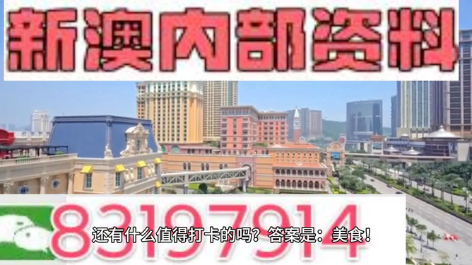 2024澳门精准正版免费大全|特别释义解释落实,关于澳门精准正版免费大全的特别释义与落实，一个深入剖析的探讨