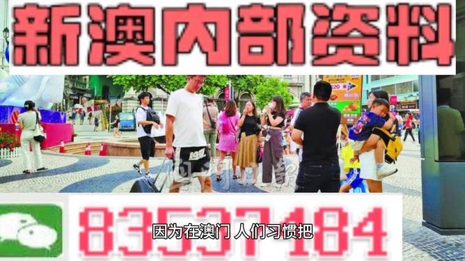 2024新澳精准正版资料|初心释义解释落实,新澳精准正版资料与初心释义，落实行动的关键要素
