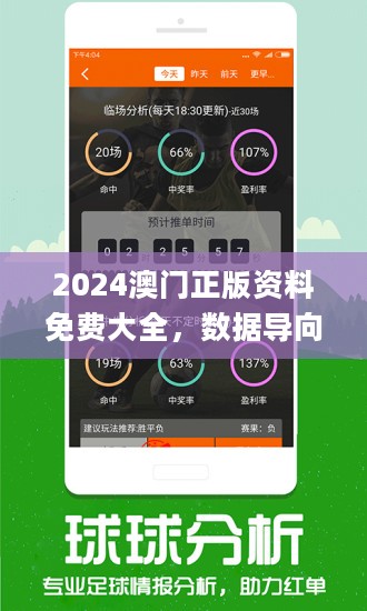 2024新澳资料免费精准17码|审核释义解释落实,新澳资料免费精准17码审核释义解释落实深度解析